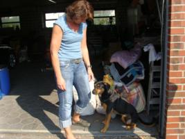 Danke fr die tollen Sachspenden!