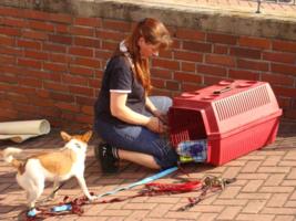 Petra bereitet vor, Darka schaut zu.