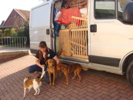 DANKE PETRA! Und danke Darka, Eddy und Ronja fr eure Geduld!