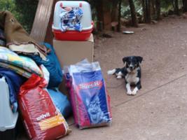 Kima bewacht die Sachspenden