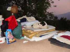 Beba auf den Sachspenden