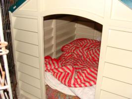 Hundehtte, fr die Welpen weich und warm ausgelegt