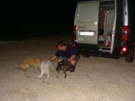 Fred fttert die Straenhunde