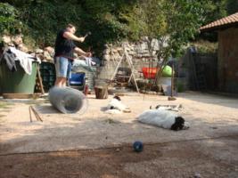 Das Welpengehege wird errichtet