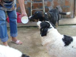 Joghurtbecher-wett-auslecken