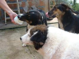 Joghurtbecher-wett-auslecken