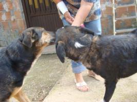 Joghurtbecher-wett-auslecken