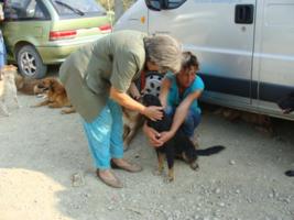 montenegrinische Tierschtzer