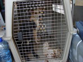 die blonde Lela und ihre schwarze Freundin