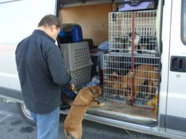 Fred versorgt die Tiere