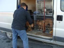 Fred versorgt die Tiere