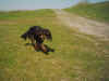 Ronja03.04.05-_006.jpg (230954 Byte)