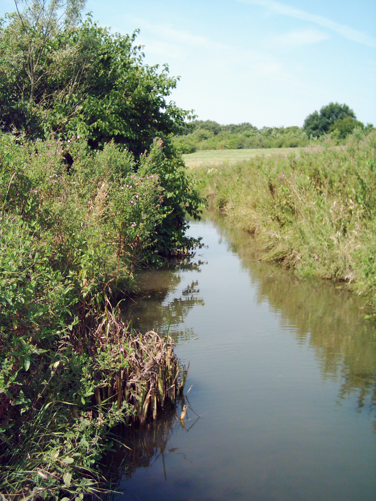 ein Klick entfernt: unser Gassi-Gebiet