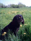 Ronja 23.04.05
