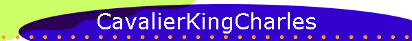 CavalierKingCharles