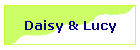 Daisy & Lucy