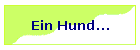 Ein Hund...