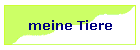 meine Tiere